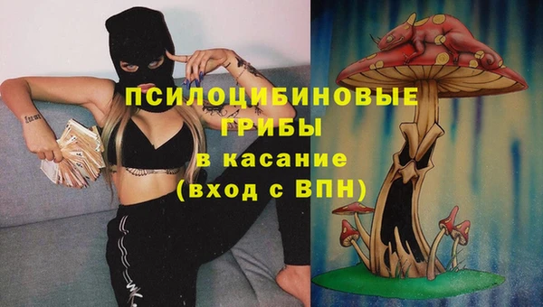 мдпв Козловка