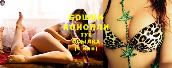 мдпв Козловка