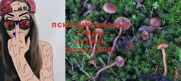 не бодяженный Кодинск